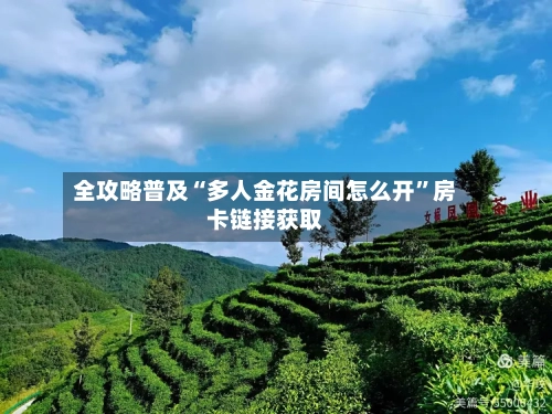 全攻略普及“多人金花房间怎么开”房卡链接获取-第2张图片