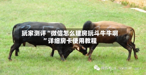 玩家测评“微信怎么建房玩斗牛牛啊”详细房卡使用教程-第3张图片