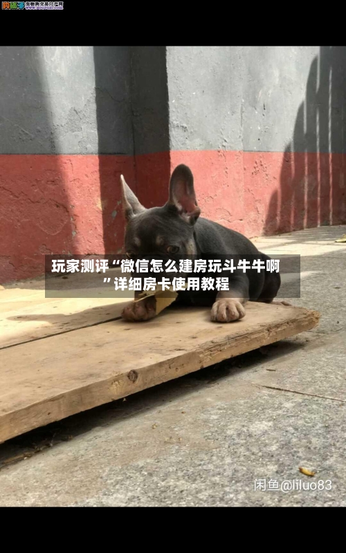玩家测评“微信怎么建房玩斗牛牛啊”详细房卡使用教程-第2张图片