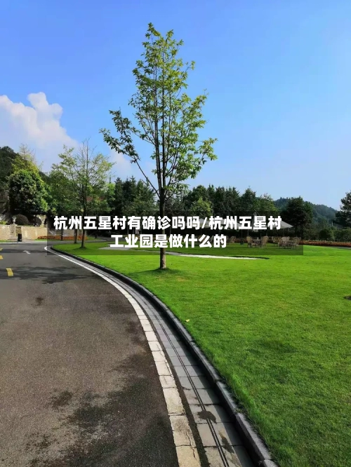 杭州五星村有确诊吗吗/杭州五星村工业园是做什么的-第2张图片