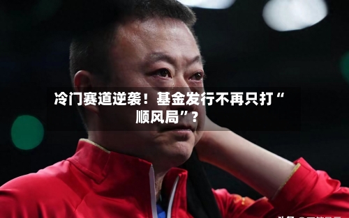 冷门赛道逆袭！基金发行不再只打“顺风局”？-第2张图片