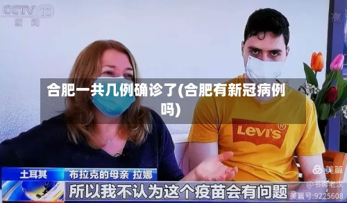 合肥一共几例确诊了(合肥有新冠病例吗)-第3张图片