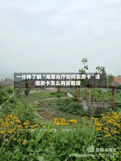 一分钟了解“海草众厅如何买房卡”详细房卡怎么购买教程-第2张图片