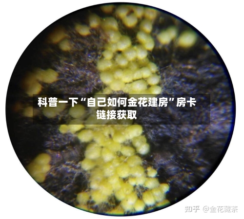 科普一下“自己如何金花建房”房卡链接获取