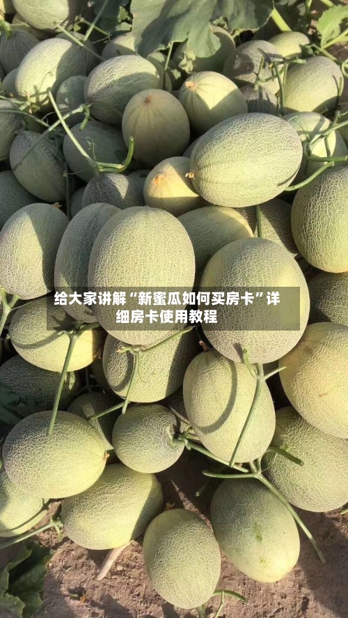 给大家讲解“新蜜瓜如何买房卡”详细房卡使用教程-第3张图片