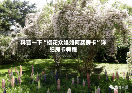 科普一下“樱花众娱如何买房卡”详细房卡教程-第2张图片