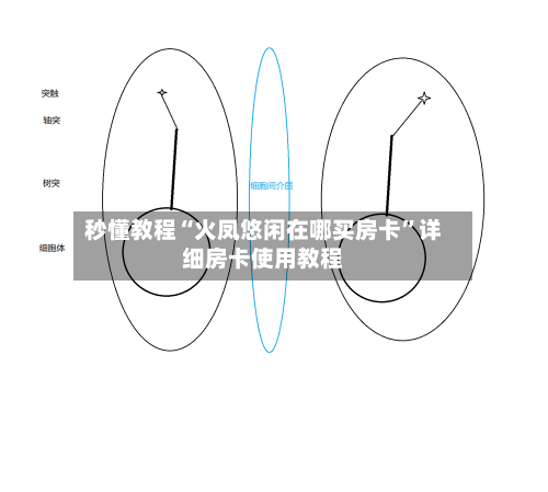 秒懂教程“火凤悠闲在哪买房卡”详细房卡使用教程-第2张图片