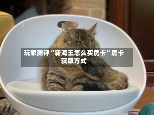 玩家测评“新海王怎么买房卡”房卡获取方式-第3张图片