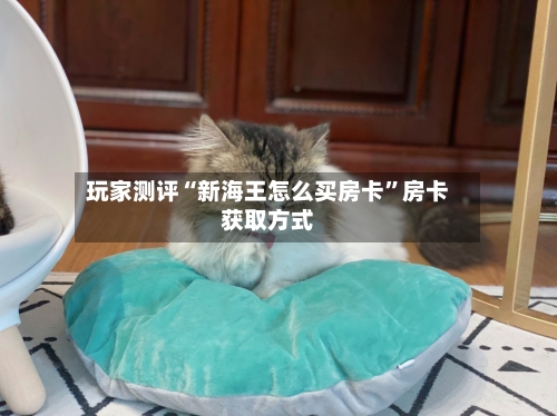 玩家测评“新海王怎么买房卡	”房卡获取方式-第2张图片