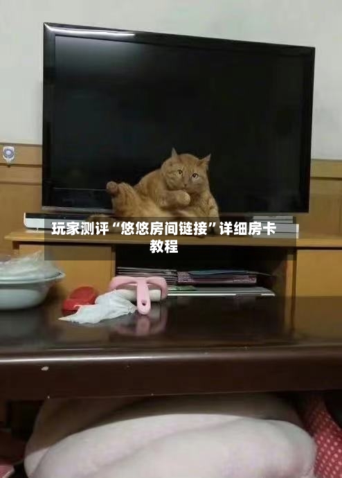 玩家测评“悠悠房间链接”详细房卡教程-第2张图片