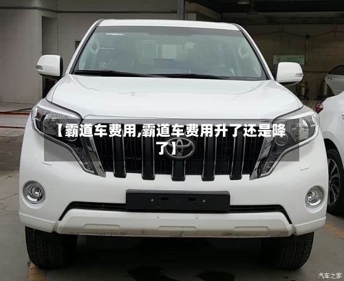 【霸道车费用,霸道车费用升了还是降了】