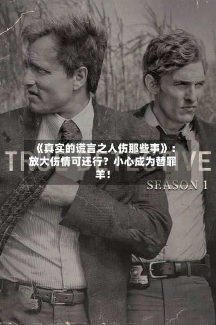 《真实的谎言之人伤那些事》:放大伤情可还行?小心成为替罪羊!-第3张图片