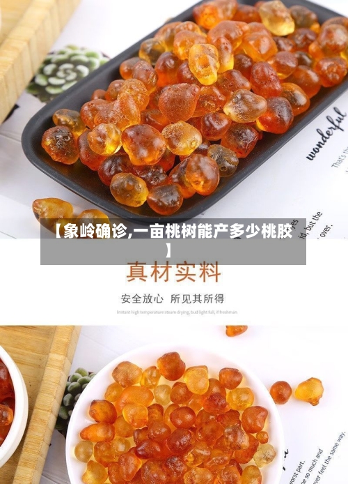 【象岭确诊,一亩桃树能产多少桃胶】-第2张图片