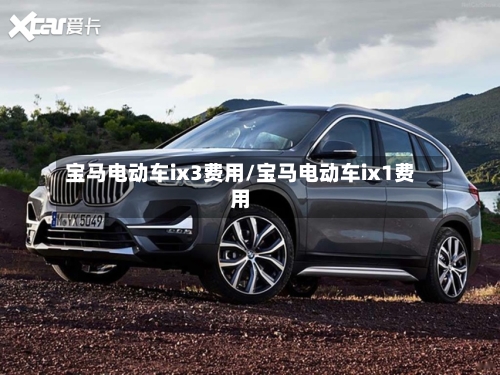 宝马电动车ix3费用/宝马电动车ix1费用-第2张图片