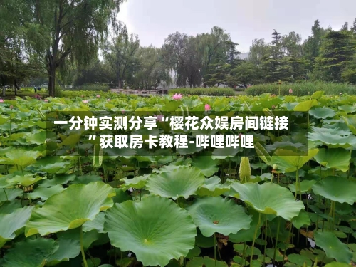 一分钟实测分享“樱花众娱房间链接	”获取房卡教程-哔哩哔哩-第2张图片