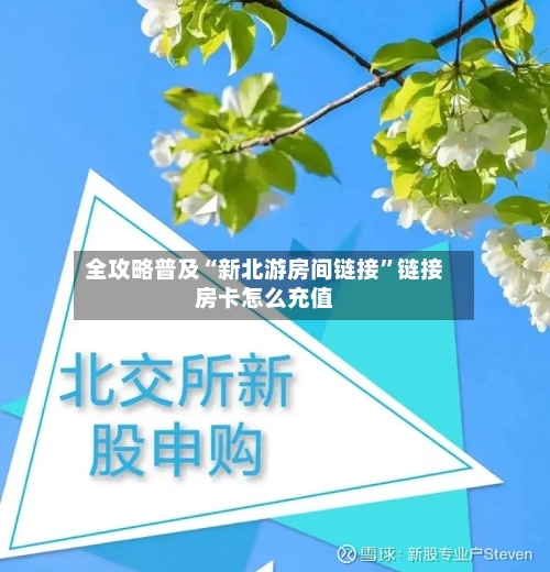 全攻略普及“新北游房间链接”链接房卡怎么充值-第2张图片