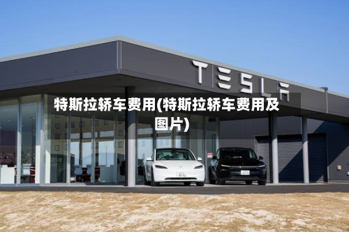 特斯拉轿车费用(特斯拉轿车费用及图片)-第2张图片