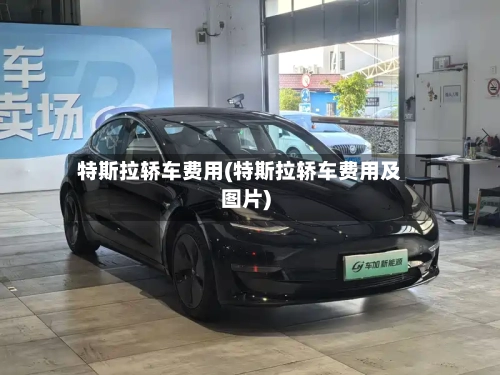 特斯拉轿车费用(特斯拉轿车费用及图片)