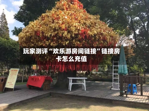 玩家测评“欢乐游房间链接”链接房卡怎么充值-第2张图片