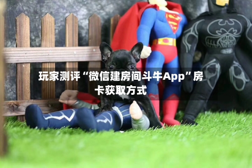玩家测评“微信建房间斗牛App	”房卡获取方式-第3张图片