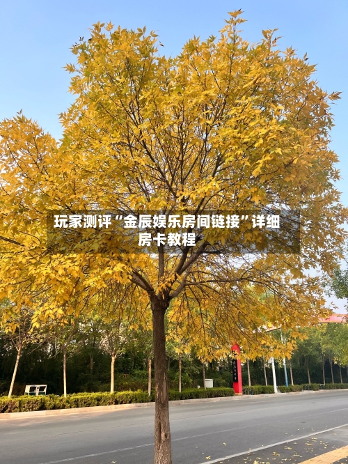 玩家测评“金辰娱乐房间链接”详细房卡教程-第2张图片