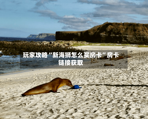 玩家攻略“新海狮怎么买房卡”房卡链接获取-第3张图片