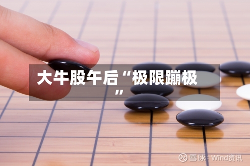 大牛股午后“极限蹦极”-第2张图片