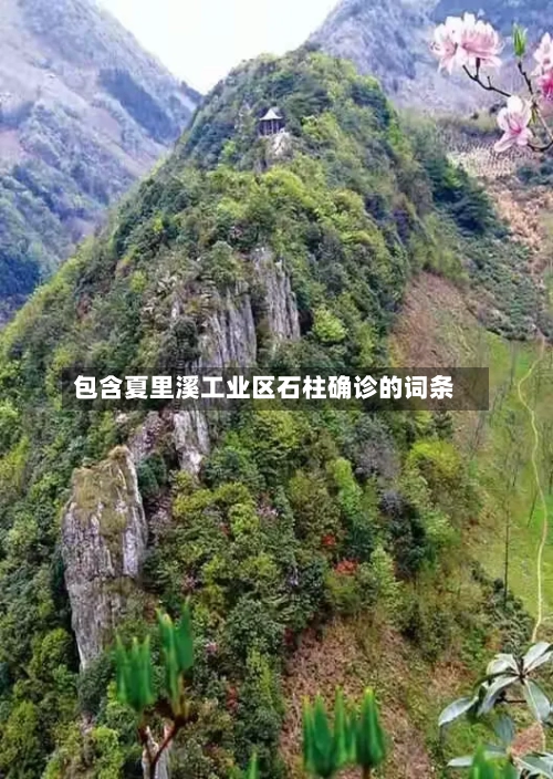 包含夏里溪工业区石柱确诊的词条