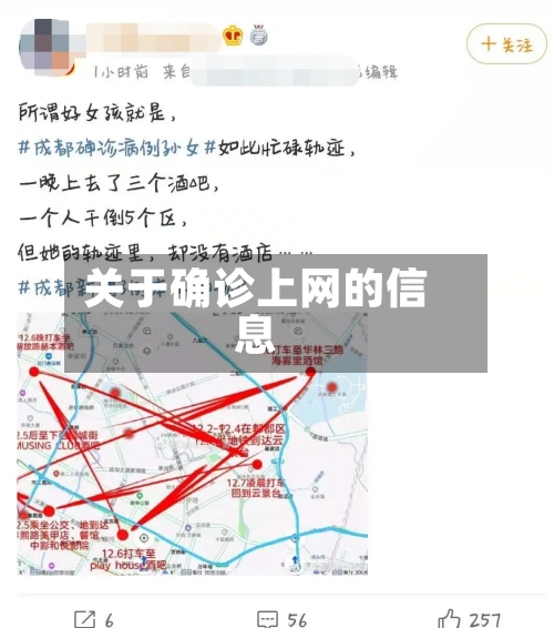 关于确诊上网的信息-第2张图片