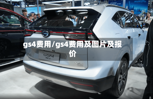 gs4费用/gs4费用及图片及报价