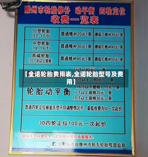 【全诺轮胎费用表,全诺轮胎型号及费用】-第2张图片