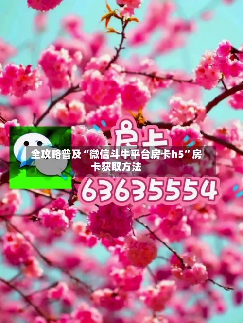 全攻略普及“微信斗牛平台房卡h5”房卡获取方法-第3张图片