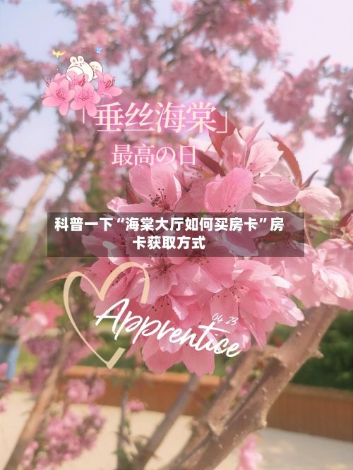 科普一下“海棠大厅如何买房卡	”房卡获取方式-第3张图片