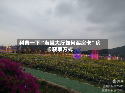 科普一下“海棠大厅如何买房卡	”房卡获取方式-第2张图片