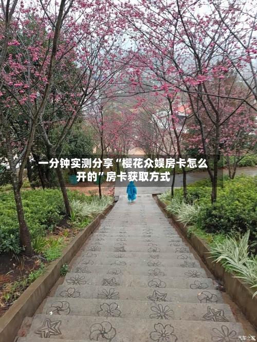 一分钟实测分享“樱花众娱房卡怎么开的”房卡获取方式-第3张图片
