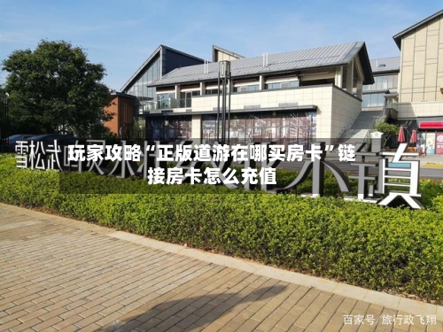 玩家攻略“正版道游在哪买房卡”链接房卡怎么充值-第3张图片
