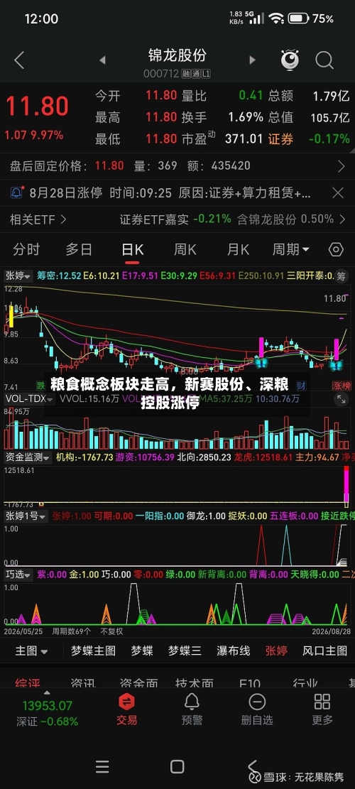 粮食概念板块走高	，新赛股份、深粮控股涨停-第2张图片