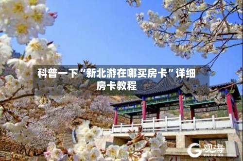 科普一下“新北游在哪买房卡	”详细房卡教程-第2张图片