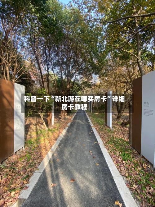科普一下“新北游在哪买房卡”详细房卡教程
