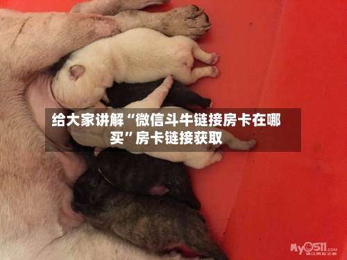 给大家讲解“微信斗牛链接房卡在哪买”房卡链接获取-第2张图片