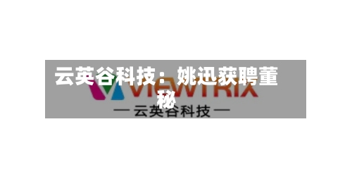 云英谷科技:姚迅获聘董秘-第2张图片