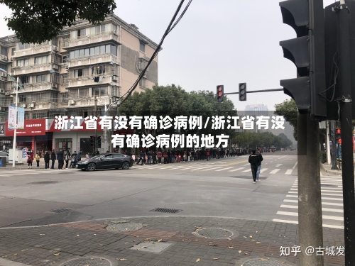浙江省有没有确诊病例/浙江省有没有确诊病例的地方-第2张图片