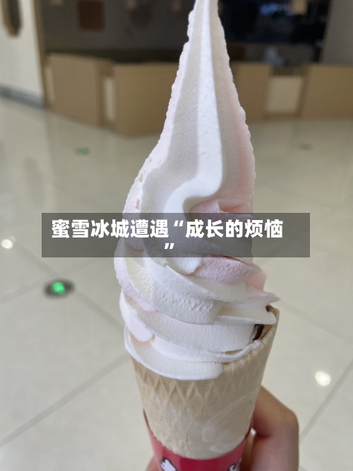 蜜雪冰城遭遇“成长的烦恼”-第2张图片