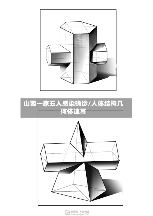 山西一家五人感染确诊/人体结构几何体速写