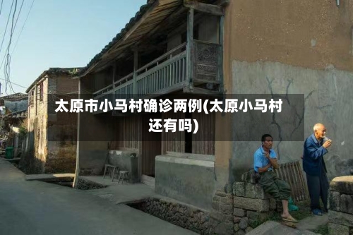 太原市小马村确诊两例(太原小马村还有吗)-第3张图片