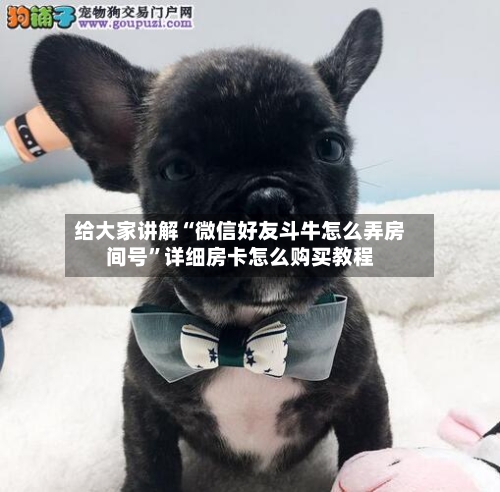 给大家讲解“微信好友斗牛怎么弄房间号	”详细房卡怎么购买教程-第2张图片