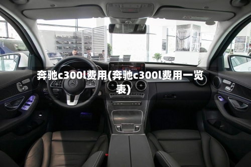 奔驰c300l费用(奔驰c300l费用一览表)