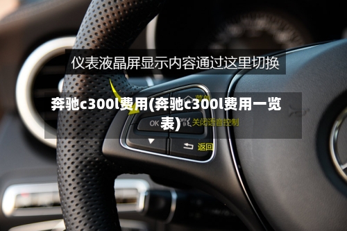 奔驰c300l费用(奔驰c300l费用一览表)-第2张图片