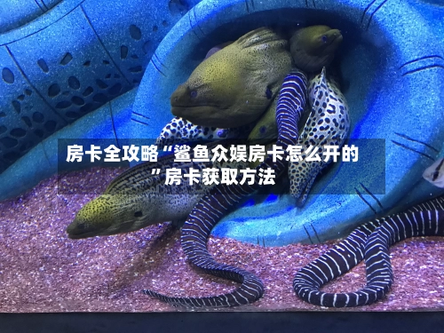 房卡全攻略“鲨鱼众娱房卡怎么开的”房卡获取方法