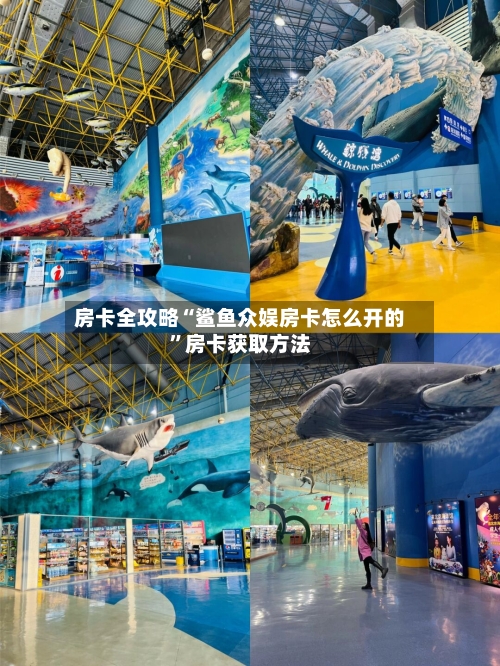 房卡全攻略“鲨鱼众娱房卡怎么开的”房卡获取方法-第2张图片